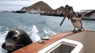 女汉子教你，飞机是这样打的