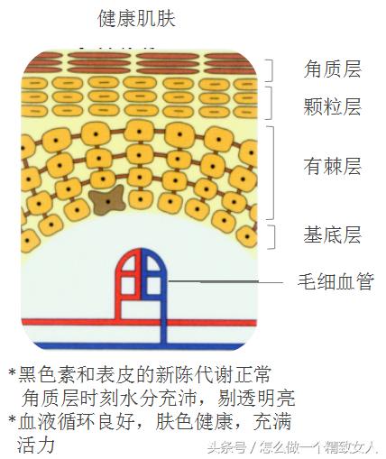 教你快速改善皮肤暗黄！