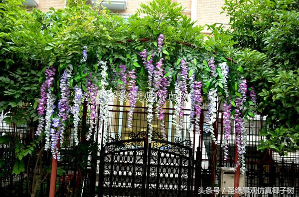 紫藤花室内装饰,紫藤花装饰长廊