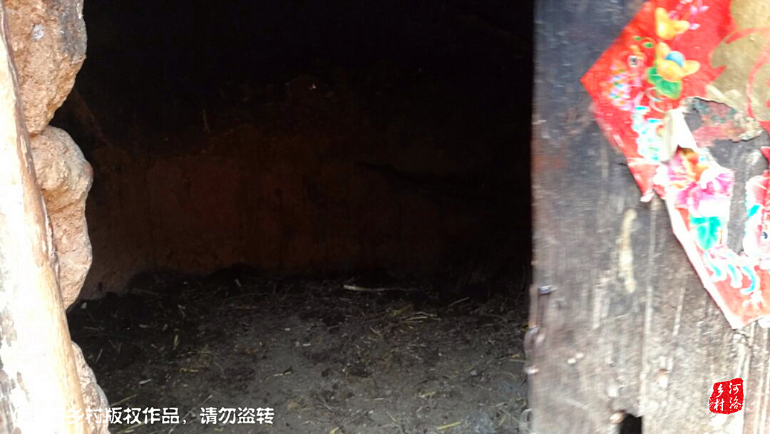 鍐滄潙灏忓瀷鍘ㄦ埧鐗涙,娌冲崡鍐滄潙鐗涙