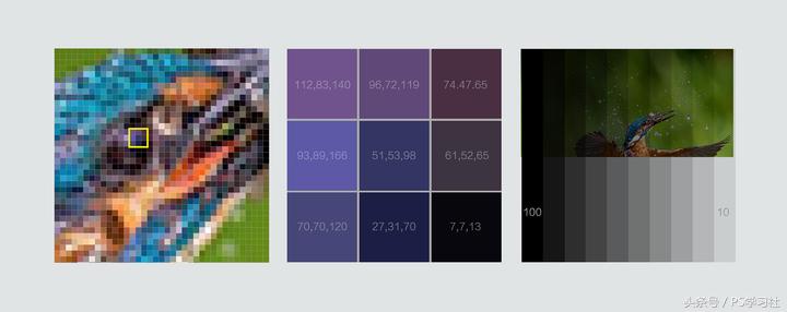 ps基础教程新手入门,苹果版ps基础教程新手入门