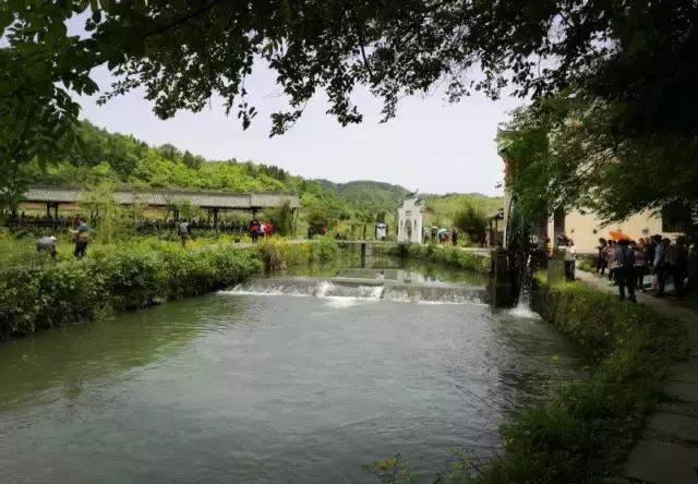 当新西兰的空气叫卖到699元每罐的时候，咱婺源人民不淡定了！