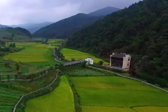 当新西兰的空气叫卖到699元每罐的时候，咱婺源人民不淡定了！