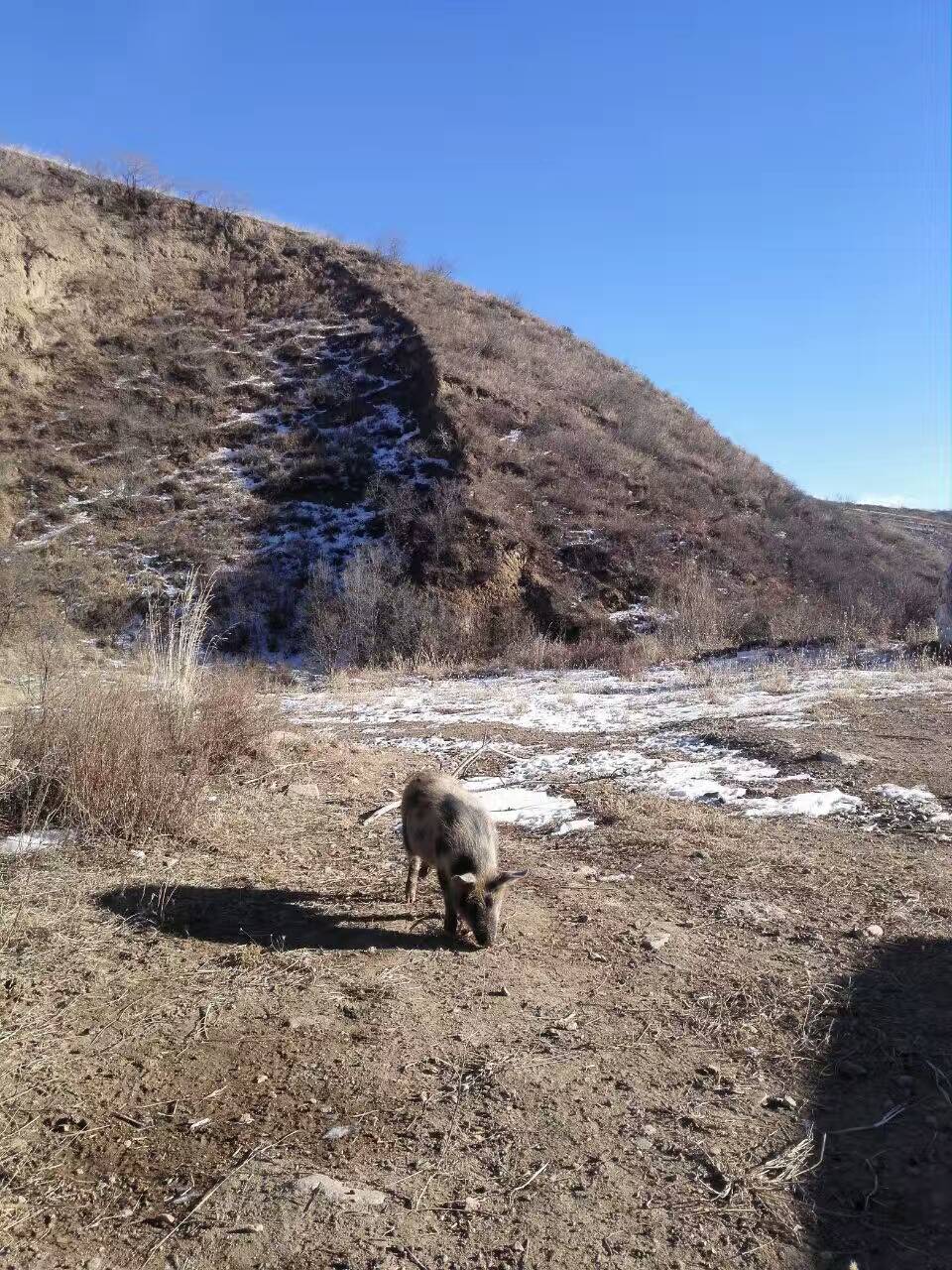 福田萨瓦纳怎么样,福田萨瓦纳有哪些缺点