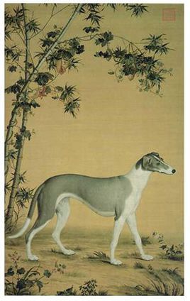 被刷屏的鬼吹灯里长腿狗狗,是濒临灭绝传说中的啸天犬?