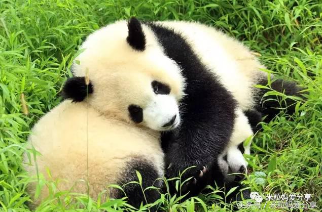 广州亲子游5天自由行不累,适合带宝宝去的亲子游