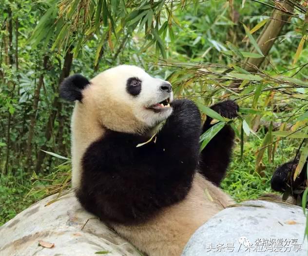 广州亲子游5天自由行不累,适合带宝宝去的亲子游