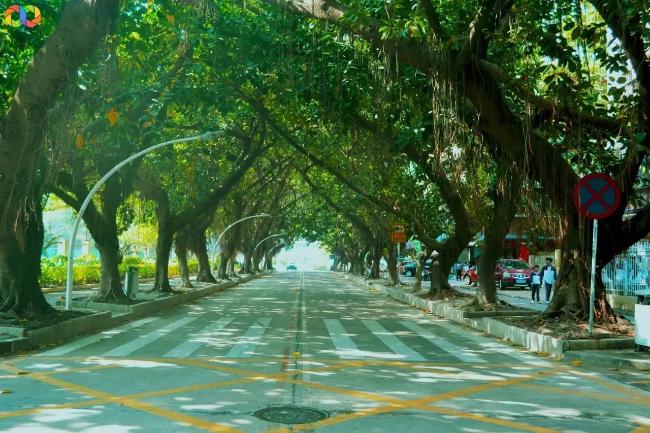 你愿意陪我走过春夏秋冬,你愿意陪我走一条很长的路吗中文