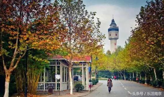 如果可以，请留在南工！浦珠南路30号，留下了我太多的青春！