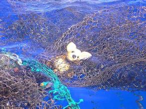 世界上最恐怖的八个国家,恐怖世界第八集