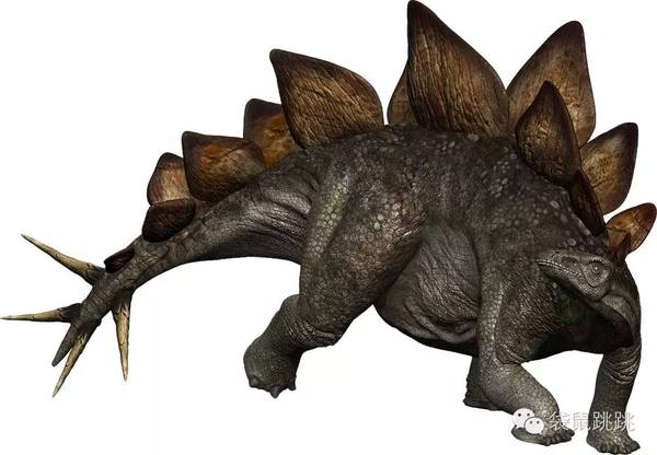 食肉恐龙的绘本,爱吃糖的小恐龙绘本