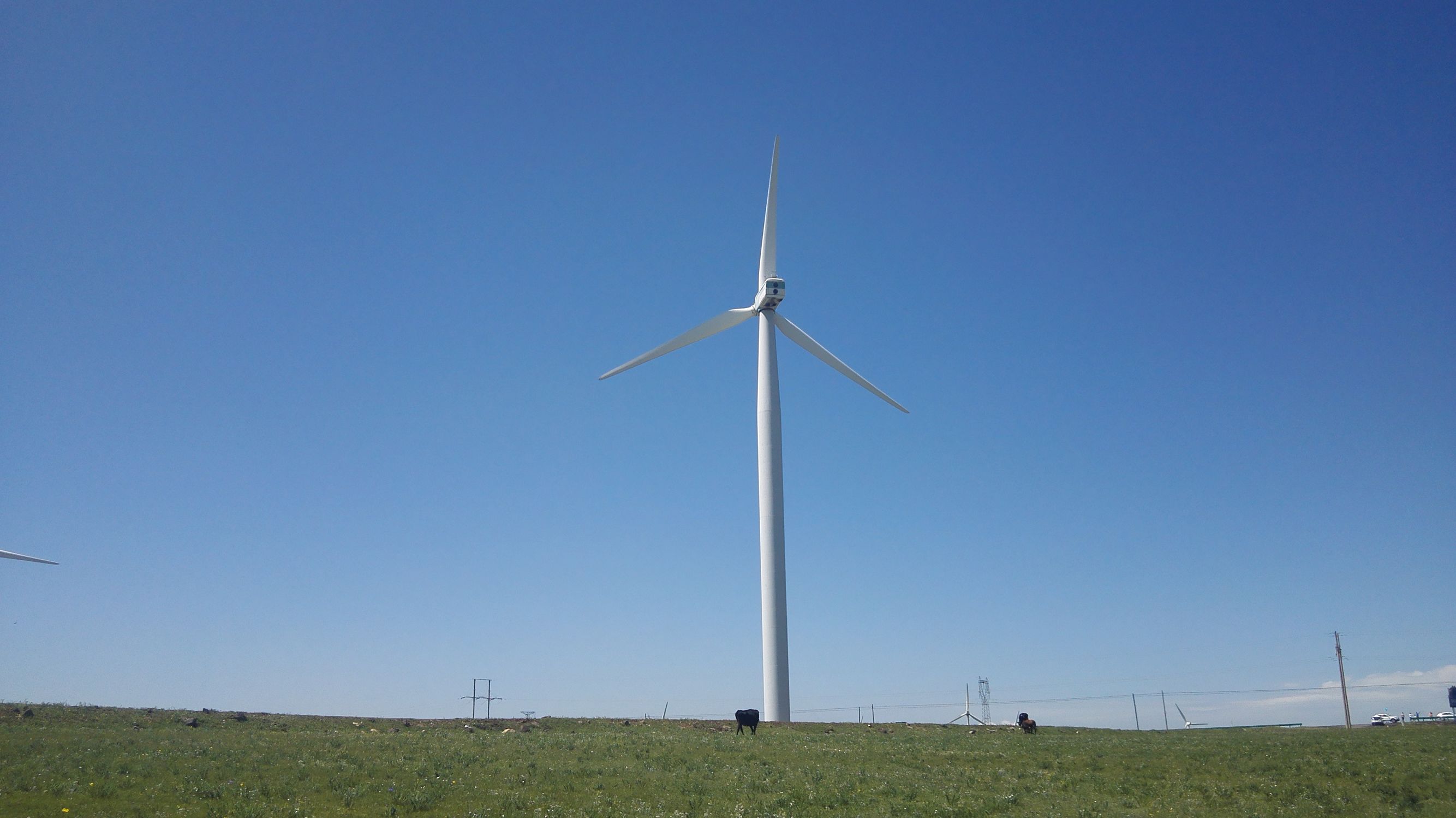 辉腾锡勒草原拍照姿势,辉腾锡勒大草原照片