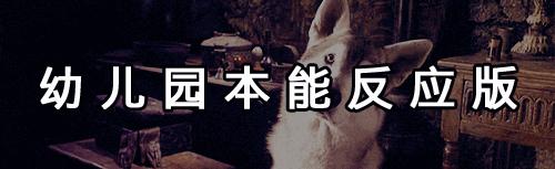 除了pardon还能说些什么,除了pardon还可以说什么