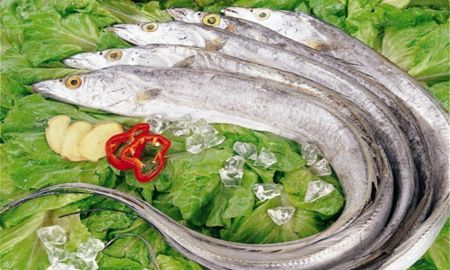 一个人陪你去舟山看海,一个人陪我去舟山看海