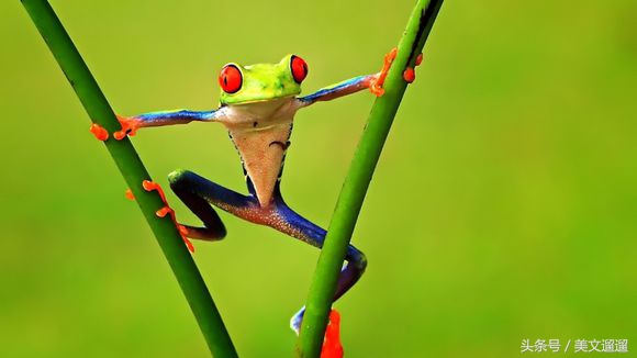 幽默个性签名说说大全,洒脱幽默个性签名推荐
