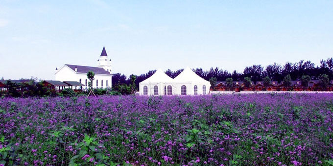 离这里最近的薰衣草庄园,中国最浪漫的地方薰衣草