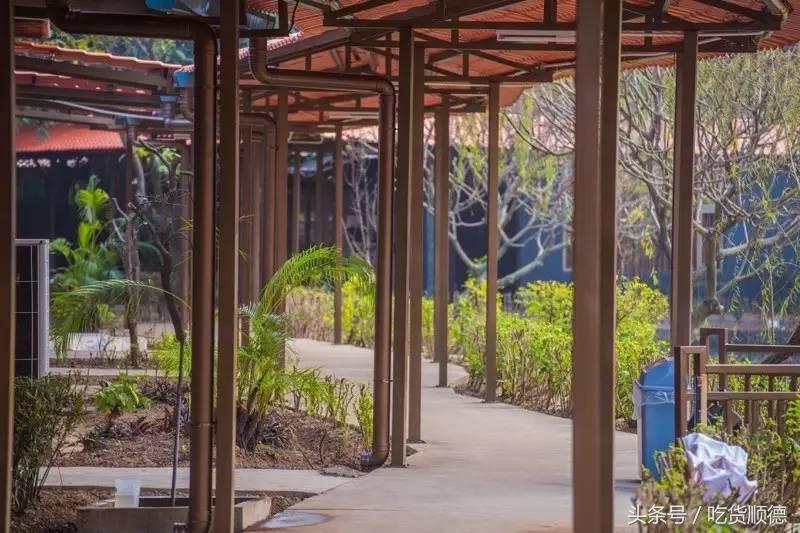 陪伴均安人十几年酒楼全面升级，全新创意茶点，大良都要过去饮茶