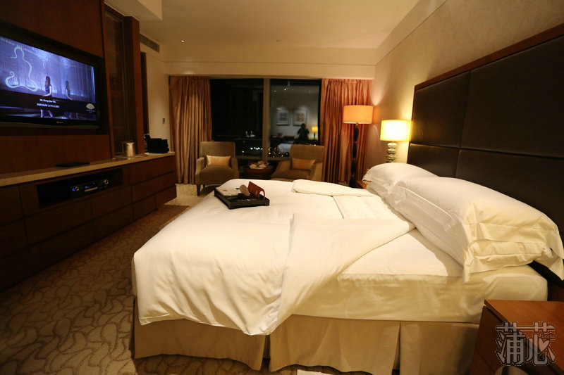 澳门旅游塔蹦极吃东西 (澳门旅游塔笨猪跳)