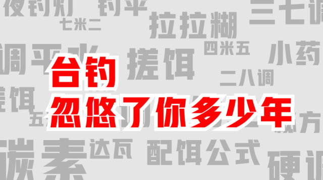 台钓,忽悠了你多少年?(上)