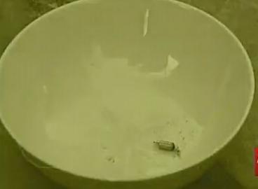 台钓,忽悠了你多少年?(上)