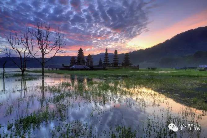 吃货看过来分享美食,吃货看过来广州自助餐美食大盘点