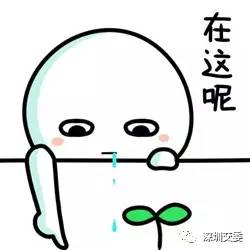 盐田微巴再放大招,新增2条社区微巴