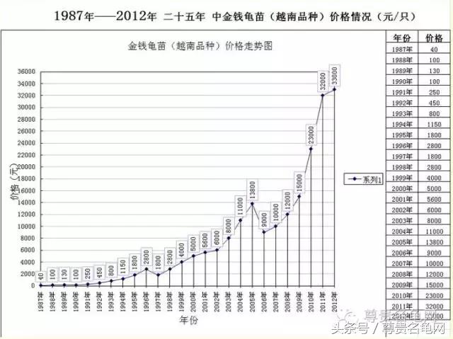 各种乌龟的详细介绍,你们见过的四种乌龟