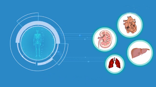冬日就应该来碗红豆年糕汤来治愈,入秋祛湿红豆薏米粥