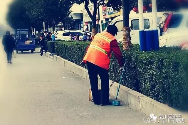 洛阳街头的“城市黄玫瑰”，你可曾关注过他们？