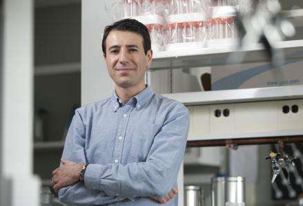 青蒿素解决了疟原虫的耐药性了吗,青蒿素可以杀灭幽门螺旋杆菌吗