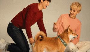 Word大长腿｜靴子千千万今年偏偏独宠过膝这一款