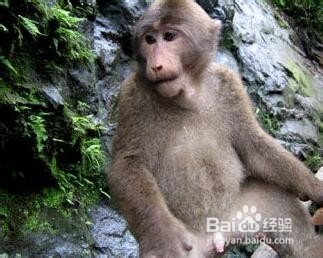 新疆到西安旅游路线推荐一下 (兰州至新疆旅游路线攻略图)