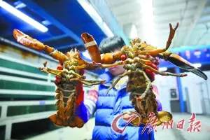 点赞广州,点赞广州站