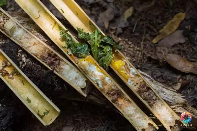 大理深度游攻略 (大理蜜月旅拍摄影攻略)