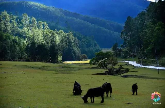 大理深度游攻略 (大理蜜月旅拍摄影攻略)