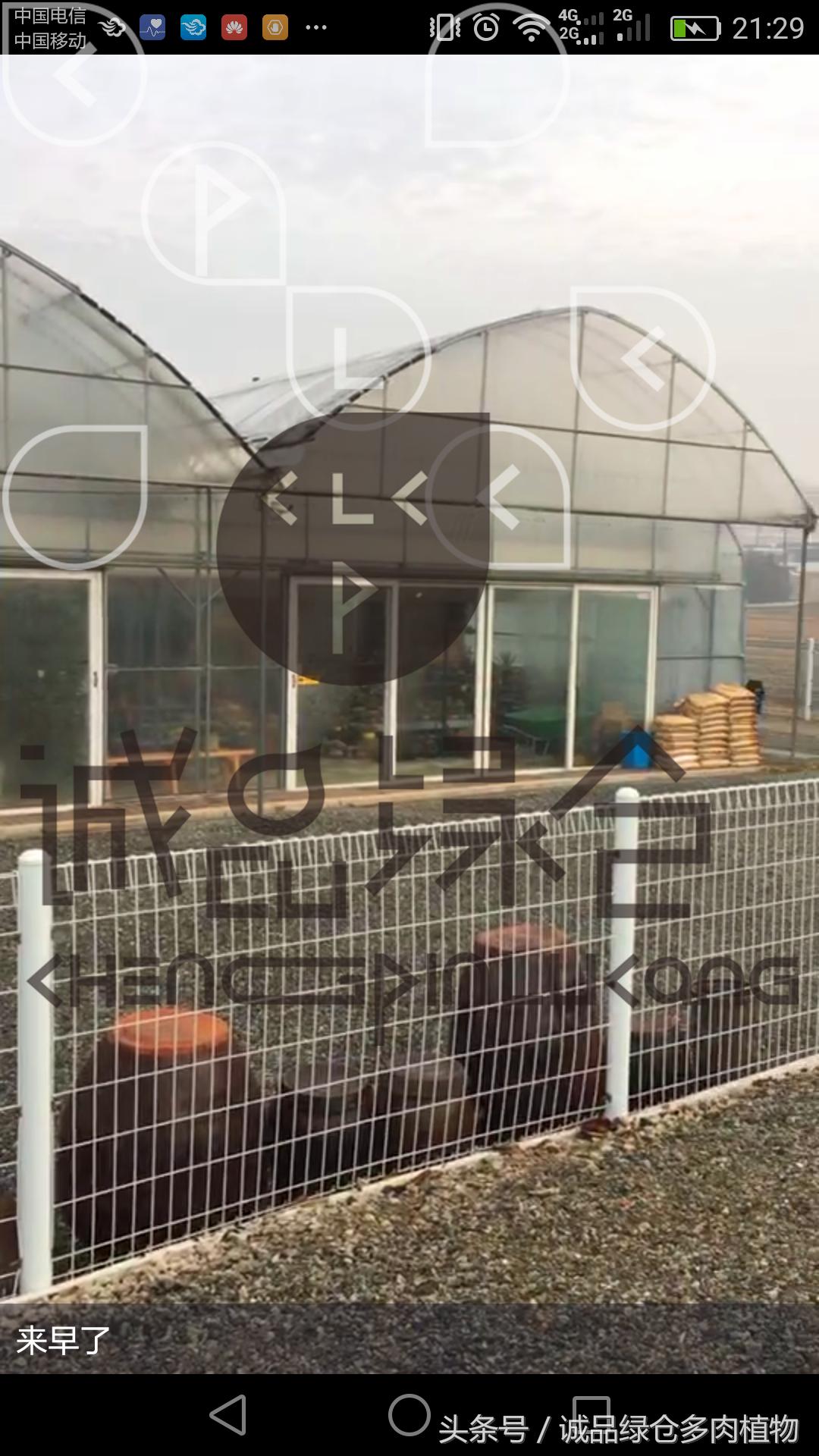 多肉植物大棚直播,密斯达多肉大棚视频