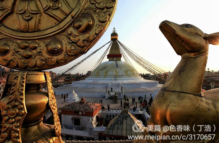 探秘尼泊尔牧羊人,探秘尼泊尔国家森林公园