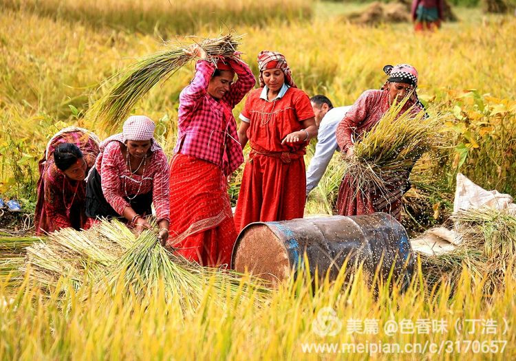 探秘尼泊尔牧羊人,探秘尼泊尔国家森林公园