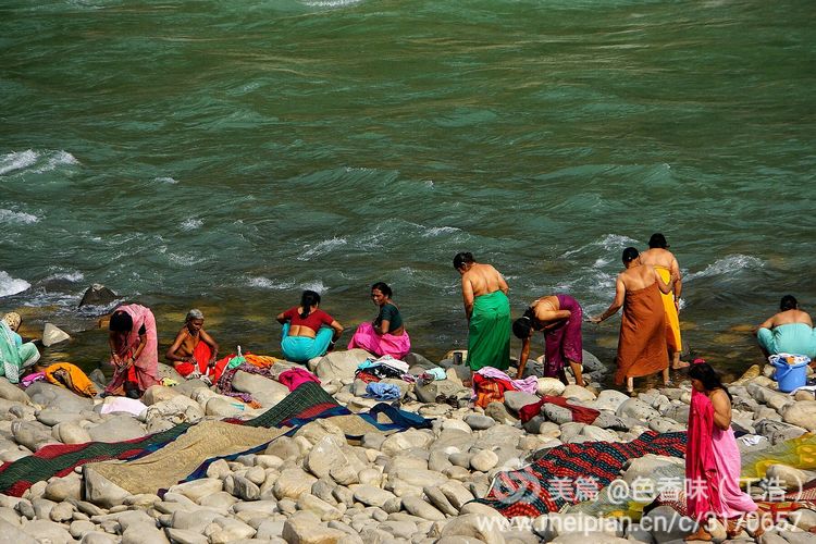 探秘尼泊尔牧羊人,探秘尼泊尔国家森林公园