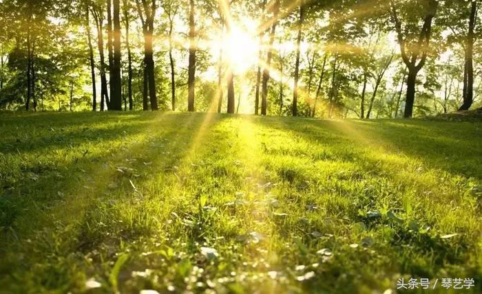 乐器推荐尤克里里,海鸥吉他最值得买的款式