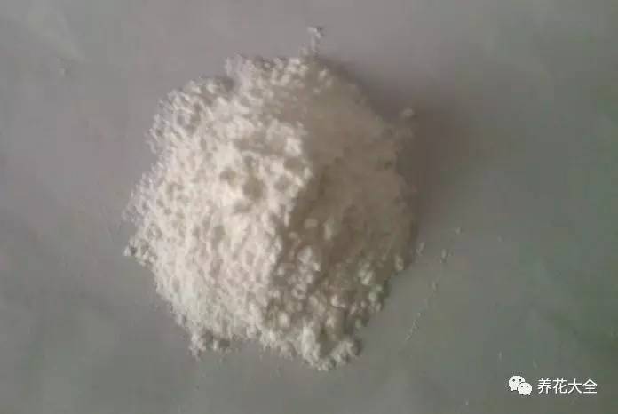 雪水、食盐、白糖、维生素,能让花枝繁叶茂,你信不信?