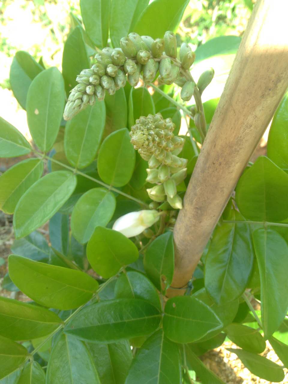 农村创业贷的申请条件,农民创业免息贷