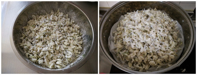 洋槐花蒸几分钟最好,蒸洋槐花麦饭的做法