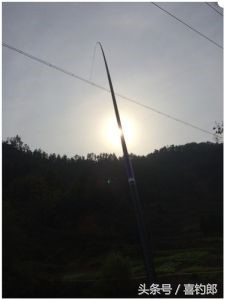 黑龙鲫短节手竿,黑龙鱼竿