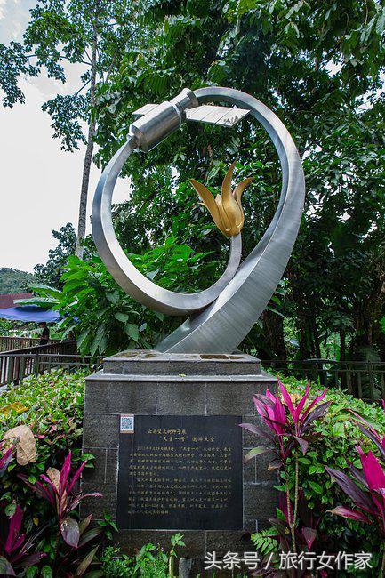 西双版纳避寒城市,冬日西双版纳市区