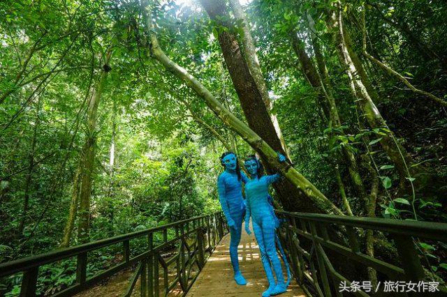 西双版纳避寒城市,冬日西双版纳市区