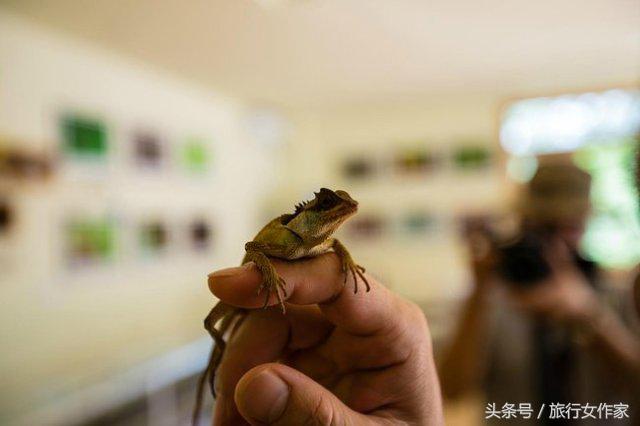 西双版纳避寒城市,冬日西双版纳市区