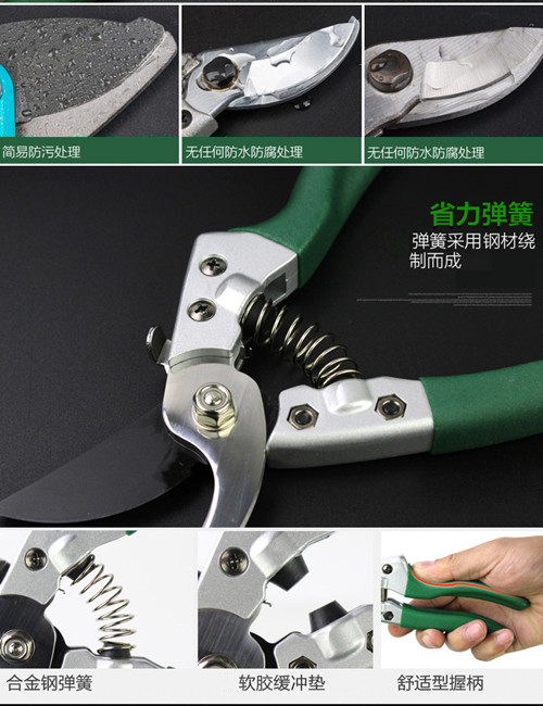 鍥灄鍓灊鍓垁,鍥灄缁垮寲鍓垁