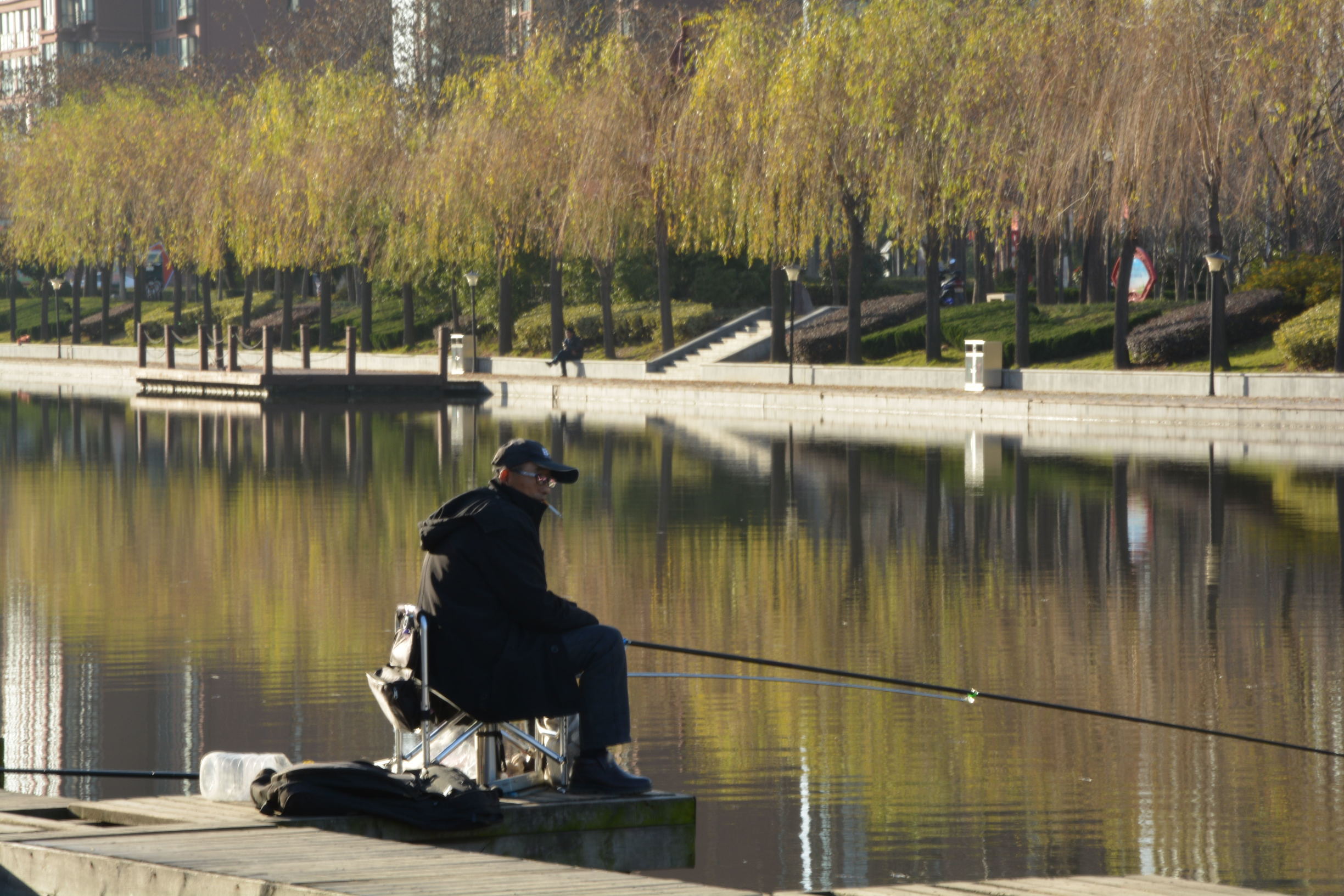 尼康D5200扫街，狗头基本够用