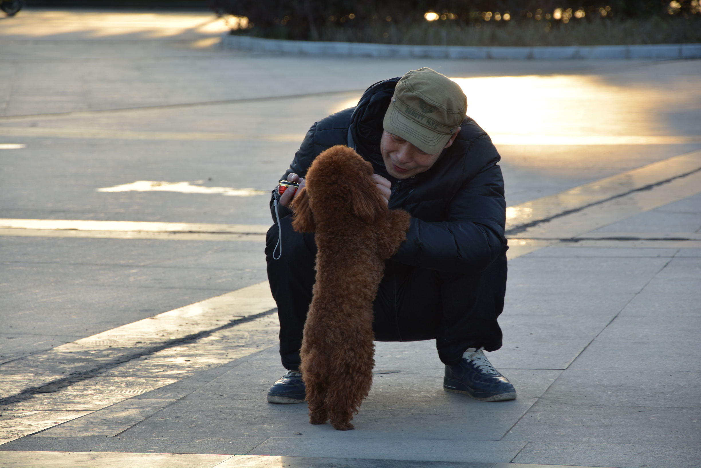 尼康D5200扫街，狗头基本够用